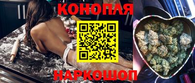 дмт Гуково