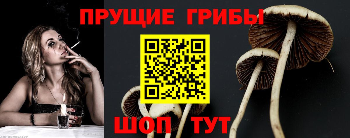 Псилоцибиновые грибы GOLDEN TEACHER  Вход с VPN  Пушкино 